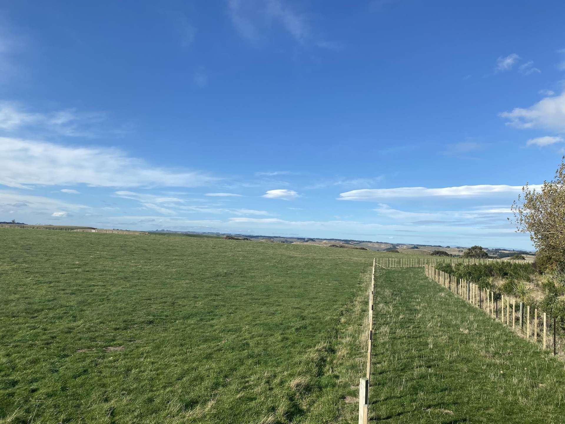 188 Reynolds Road Ratana_0