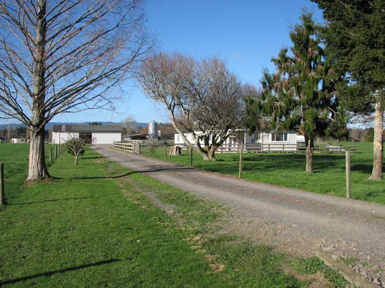 240 Bayly Road South Waikato_18