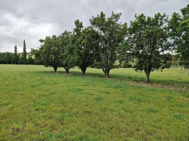 287 Oven Hill Road (Part of) Teviot_4