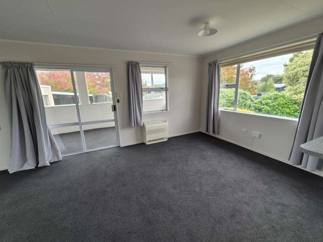 45 Havelock Street Renwick_4