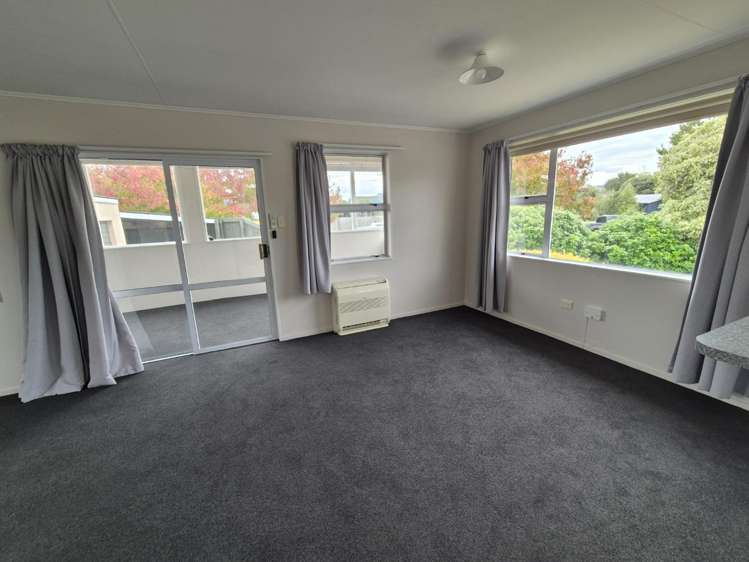 45 Havelock Street Renwick_4