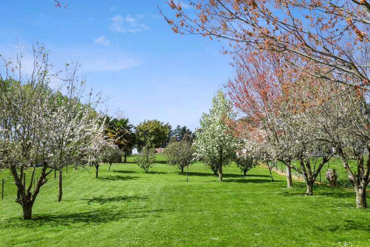 122 Malling Road Redwood Valley_8