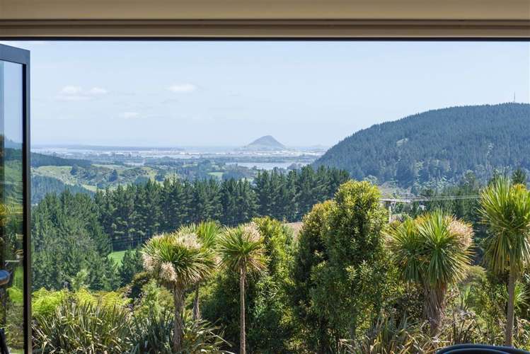 157b Kaiate Falls Road Kaimai_0