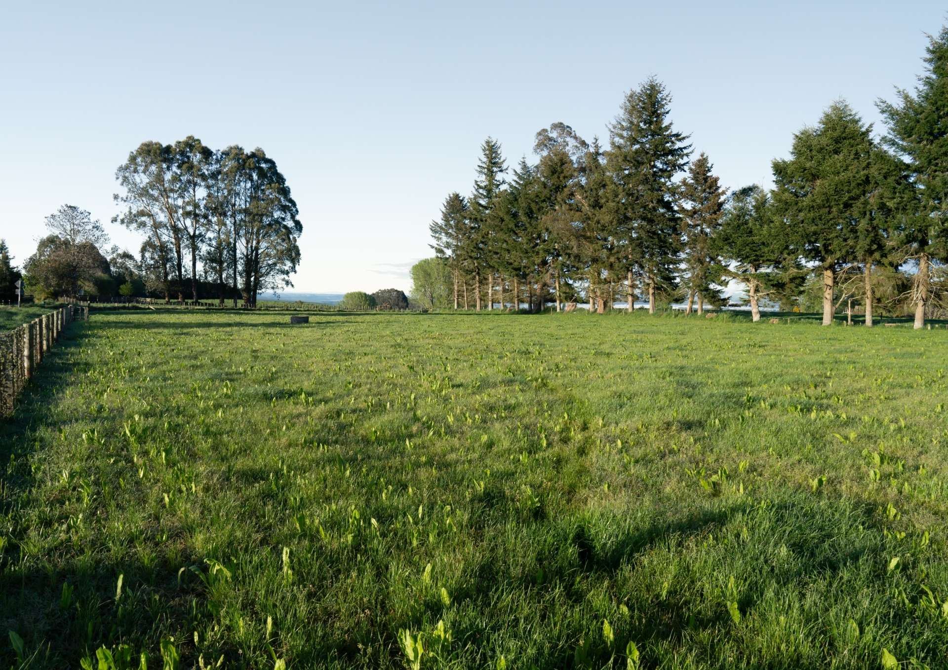 Lot 2 Cnr of Deep Creek Road and Rakau Road Reporoa_0