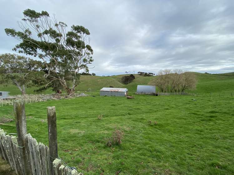 443 Makino Road Feilding_13