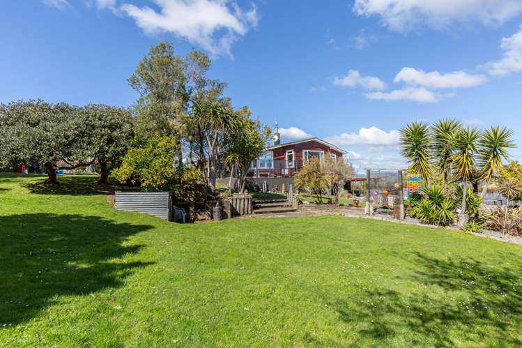 66 Manuka Street Masterton_10