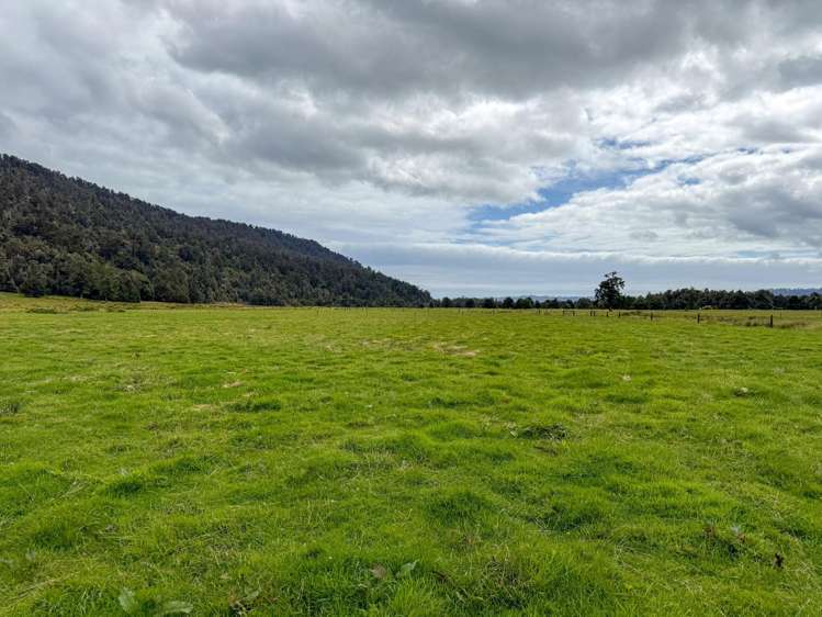 221 Docherty Creek Rd and Waiho Flat Road Franz Josef_26