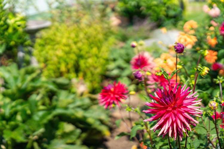 148 Rangatira Drive Mangakino_24