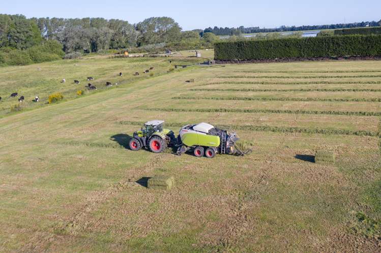 Wilkins Road Tinwald_13