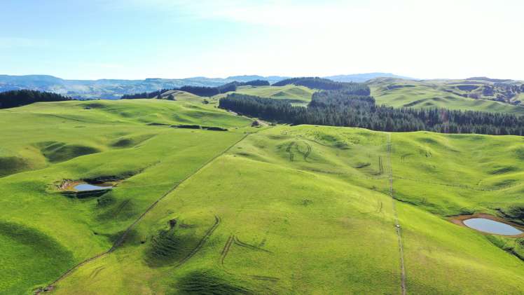 2029 Matapiro Road Crownthorpe_36