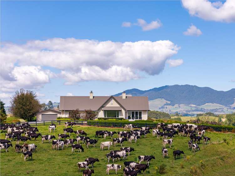 Lot 1/4/366 Karapiro Road Karapiro_32