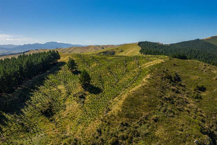 793 Taylor Pass Road Taylor Pass_9