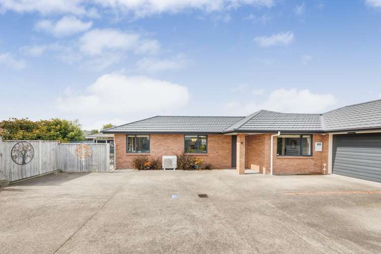 14c Rata Street Roslyn_22