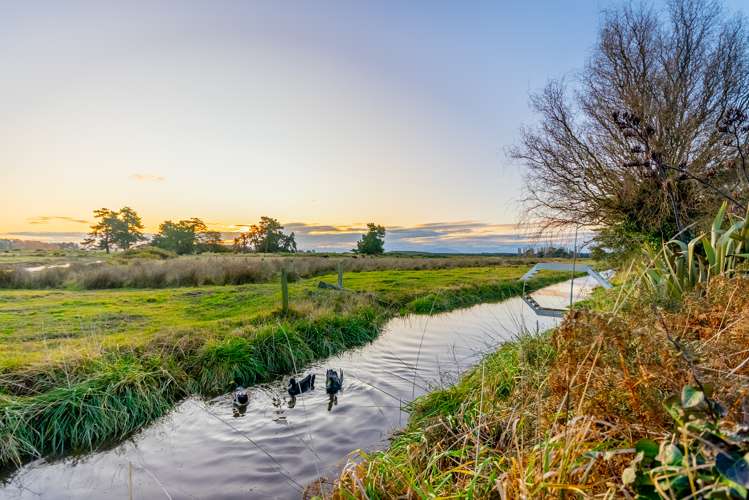 95 Dunns Avenue The Pines Beach_22