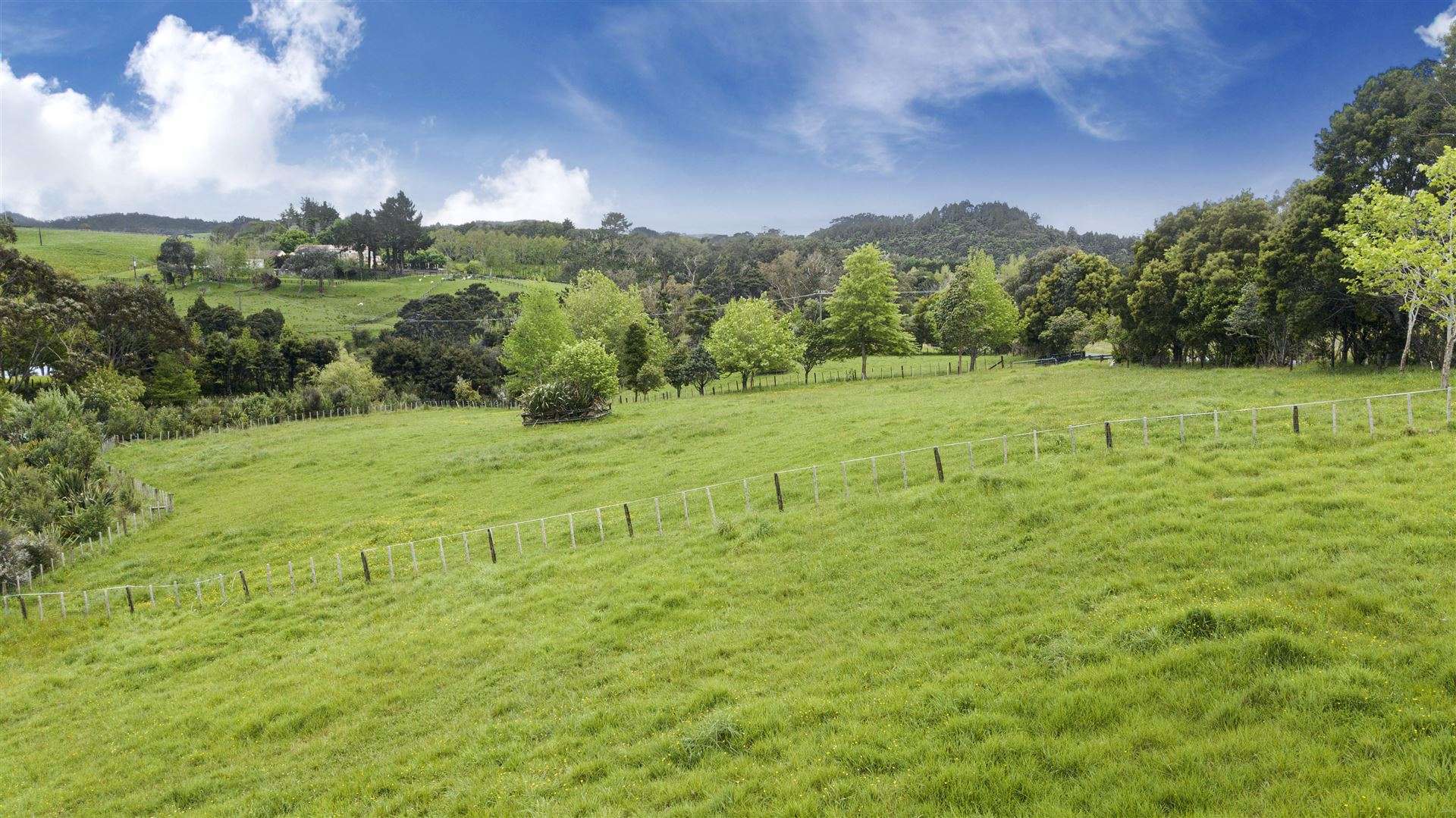 Sold 138 Three Oaks Drive Dairy Flat Rodney on