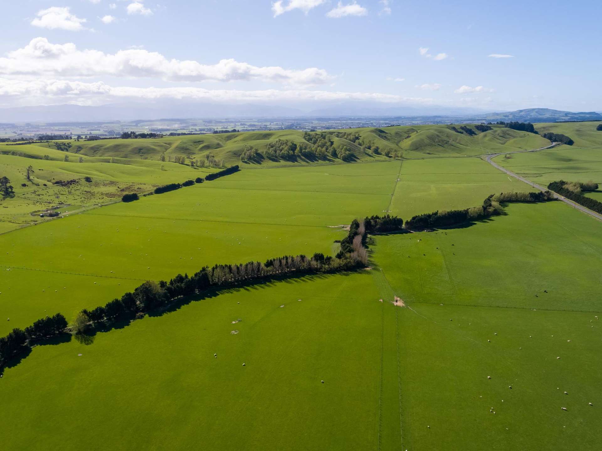 White Rock Road Martinborough_0