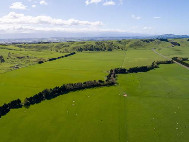 Reliable, productive and well located