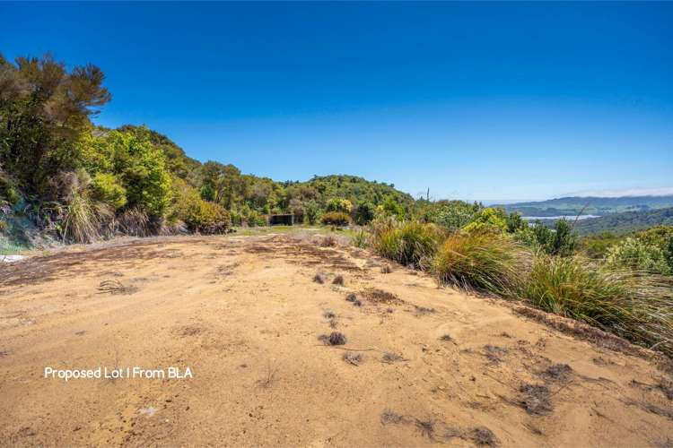 425 Pakawau Bush Road, Pakawau Golden Bay_5