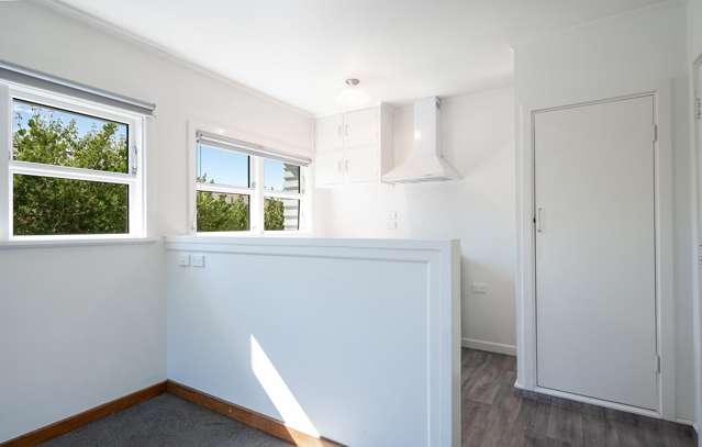 45 Tudor St Motueka_4