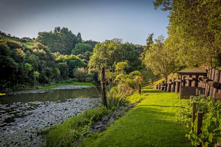 14 Ohuka Place Whitianga_3