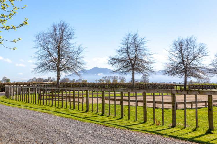 5932 State Highway 27 Ngarua_2