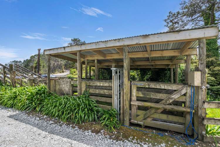 309 Opanake Road Dargaville_28