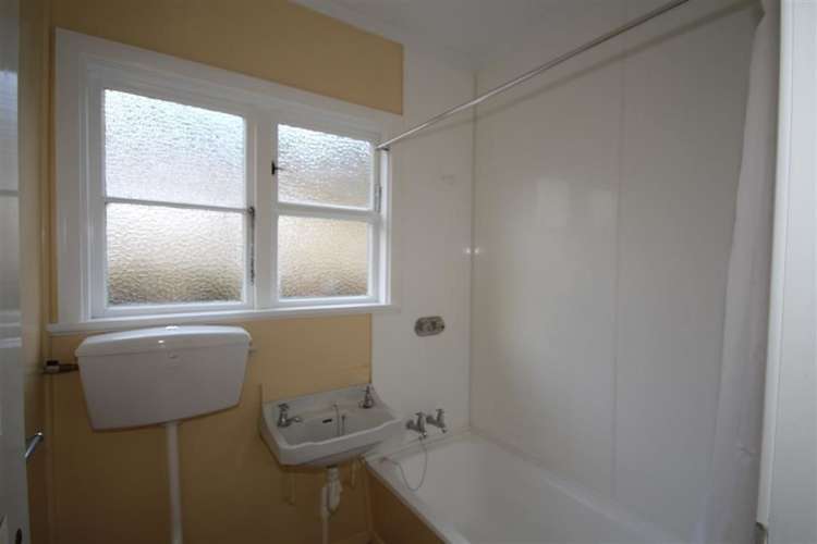 110 Rolla Street Normanby_9