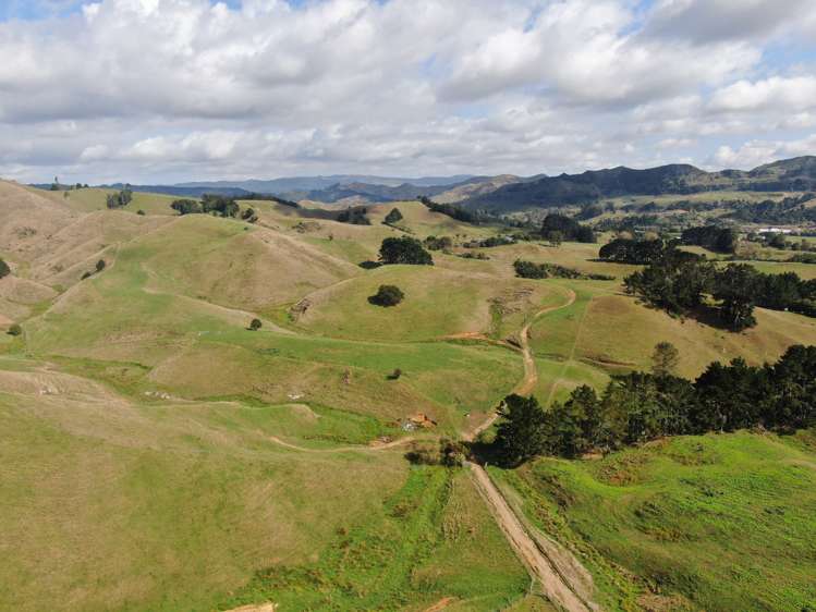 1026 Limeworks Loop Road Karamu_7