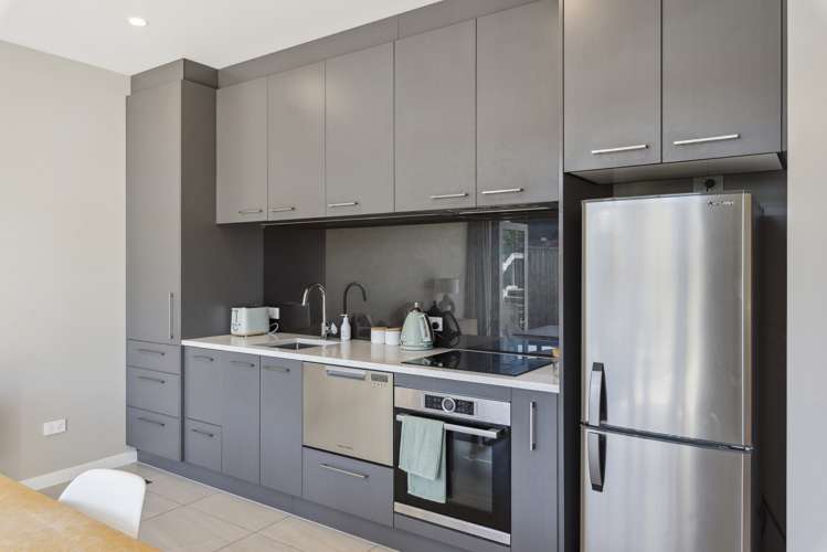 35 Te Ara Kawakahia Waikanae_9