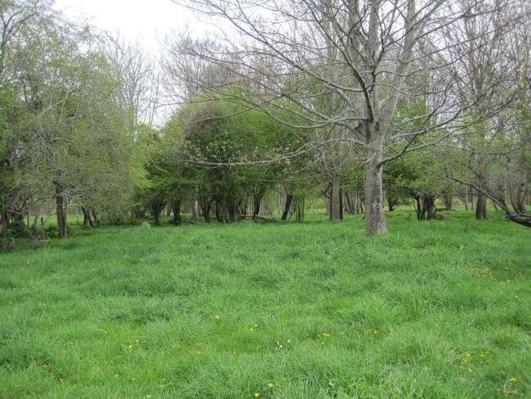 77 Main North Road Geraldine_31