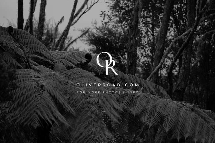 20b Taylor Road Waimauku_13