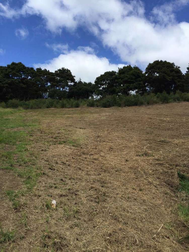 280b Okura River Road Long Bay_3