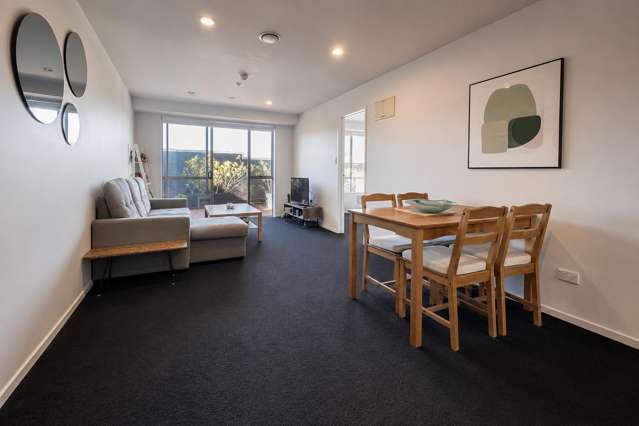 1E/1 Ophir Street Grey Lynn_1