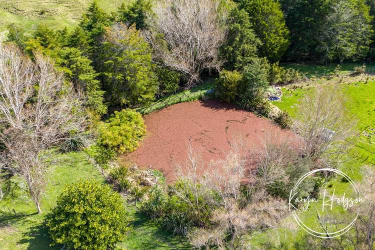 641 State Highway 1 Wellsford_29