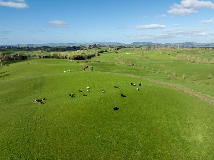 819 Waikokowai Road Ruawaro_22