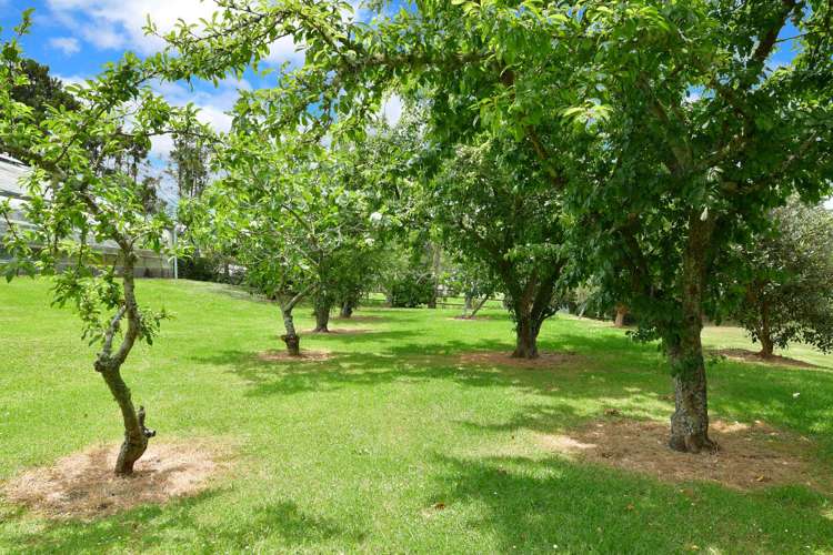 203 Riverhead Road Kumeu_24