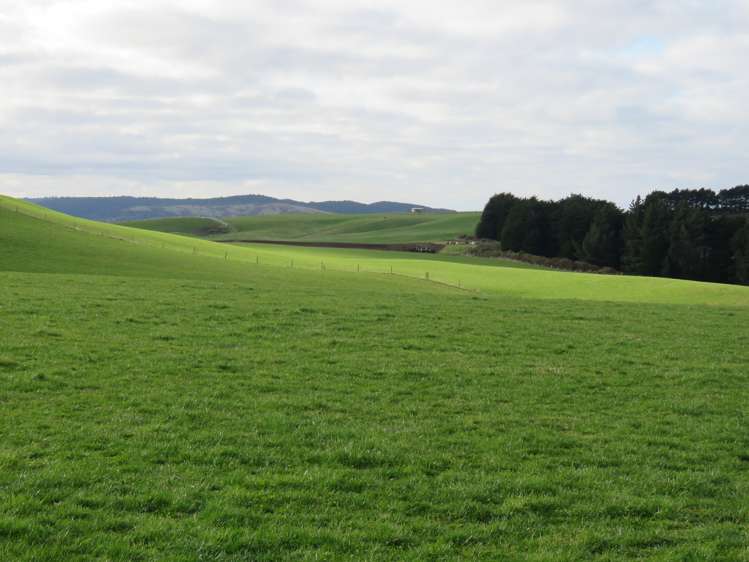 775 Otara Haldane Road Wyndham Surrounds_12