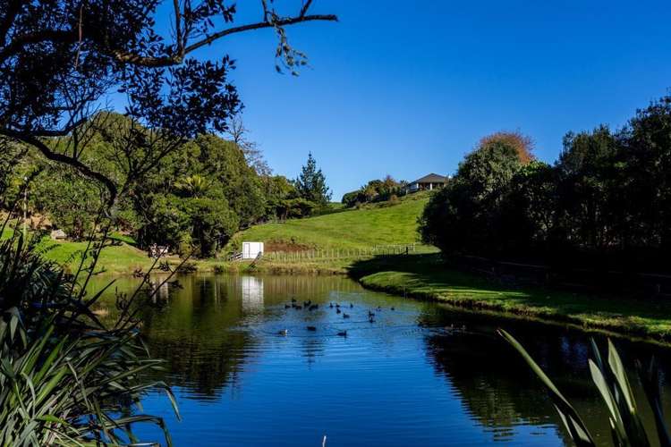 28 Patterson Road Hurworth_17