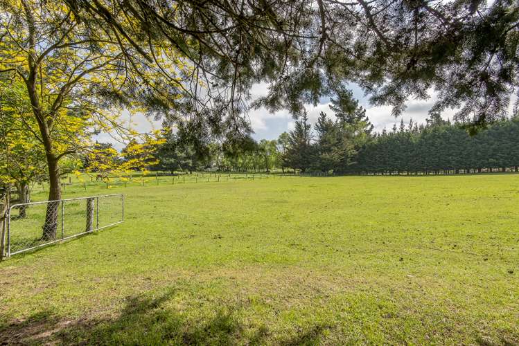 59 Marshmans Road Ashley_14