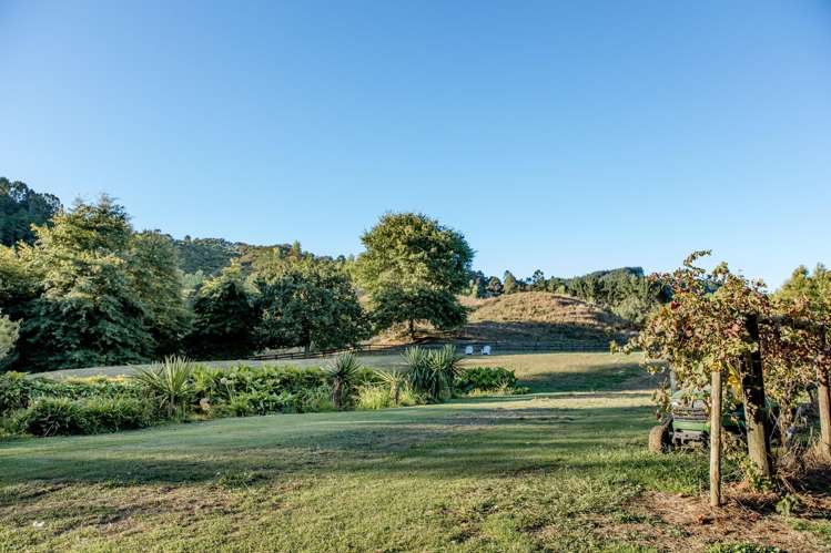 160A Twilight Road Clevedon_7