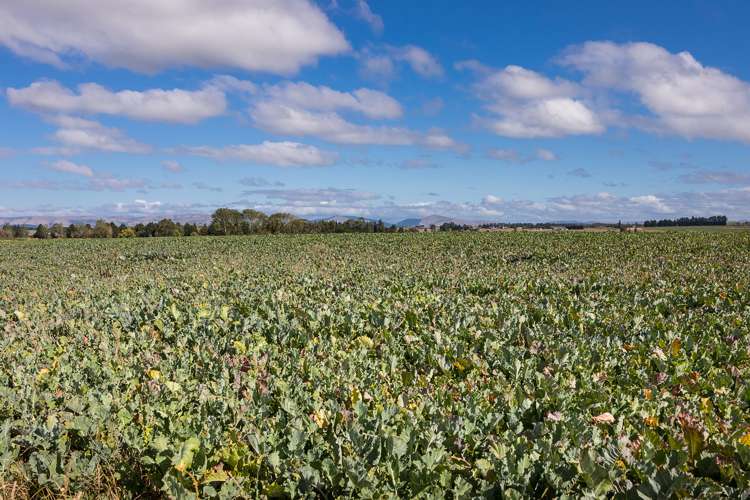 108 Allangrange Road Greenfield_16