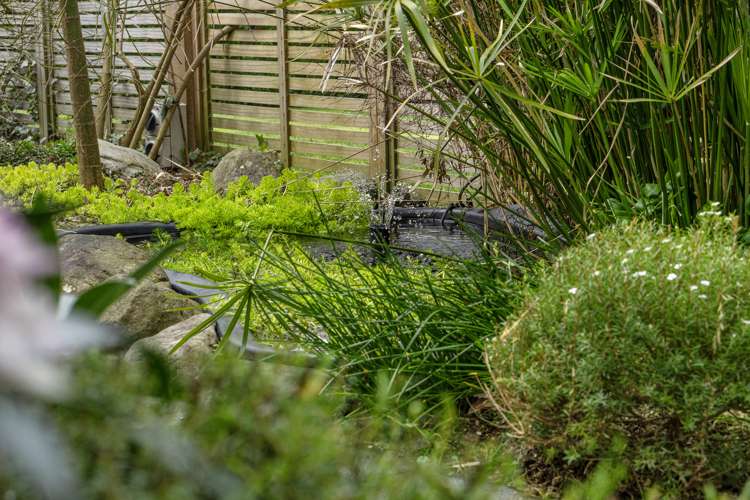 14 O'Sullivan Drive Matamata_20