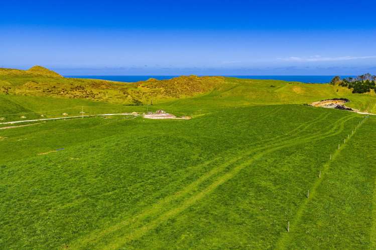 780 Te Maire Road Te Kopuru_28