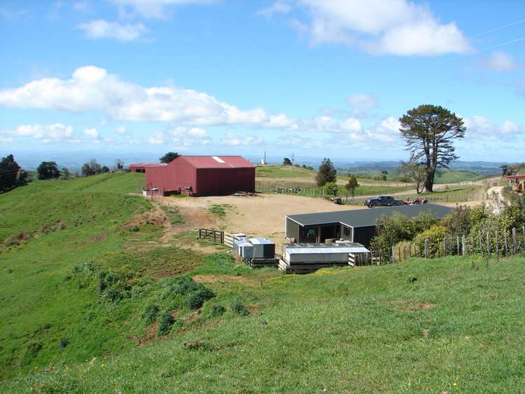 Mahoe Road Waitomo_13