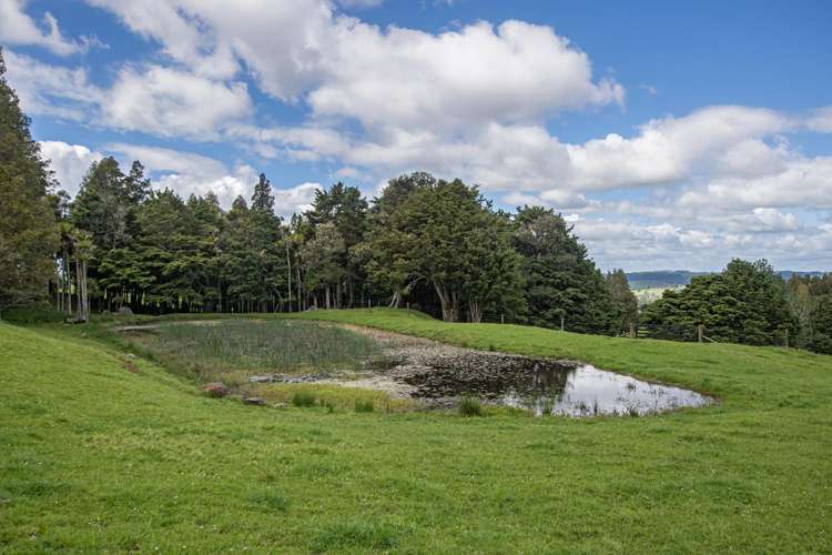 311b Akerama Road Hukerenui and Surrounds_27
