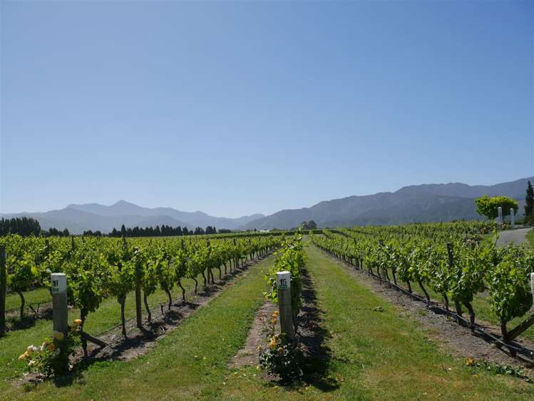 56 Vintage Lane Rapaura_17