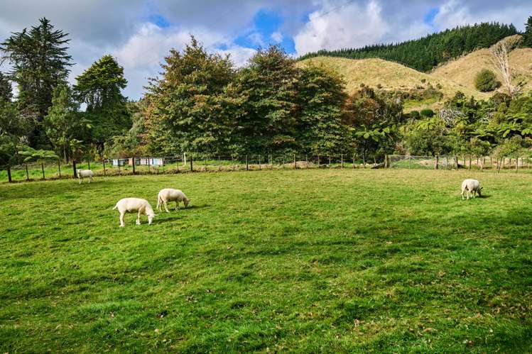46 Corbetts Road Otaki_31