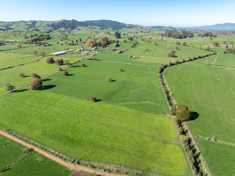 133 Flume Road Te Miro_2