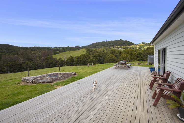 891 Springfield Road Mangapai and Surrounds_9