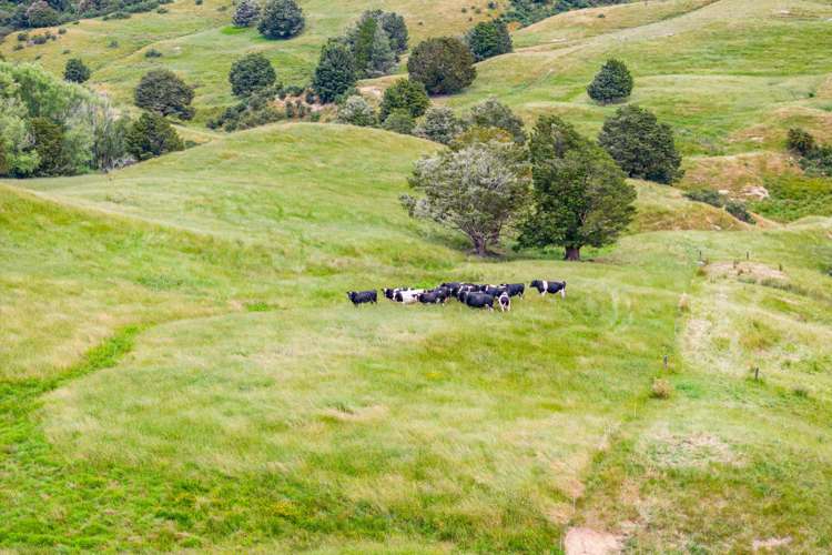 1228a Bull Road Paparoa_16